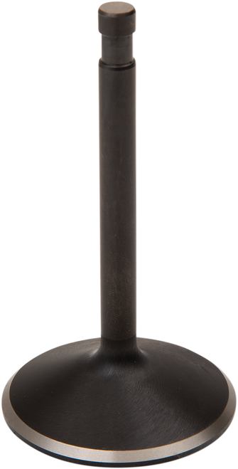 Nitrided Valve 09260787