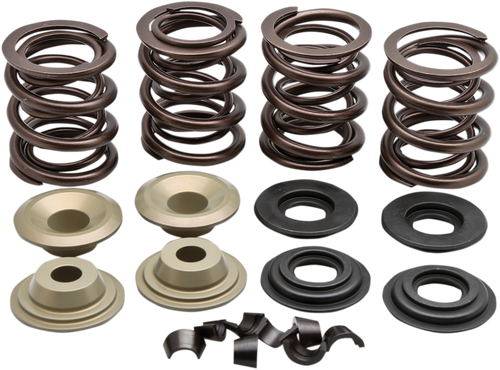 Complete Valve Spring Kit 09262930