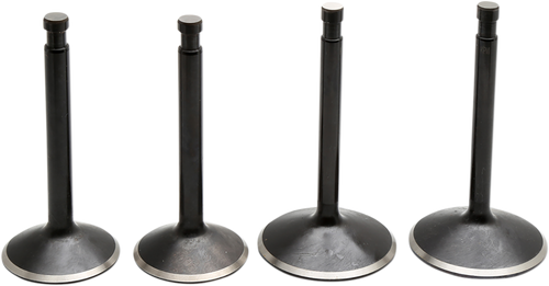Engine Valve Kit 09263207