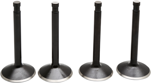 Engine Valve Kit 09263315