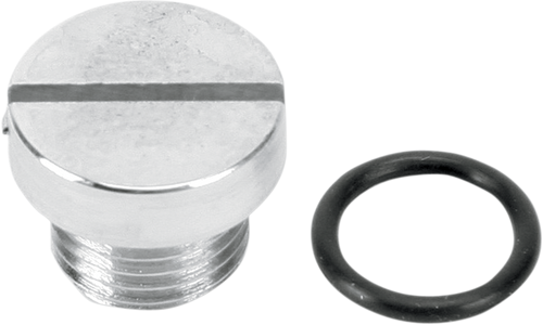 Oil Screen Plug 09320050