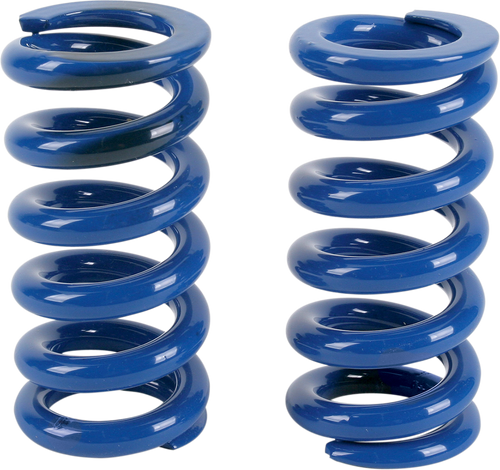 Big Shock Springs 13120132