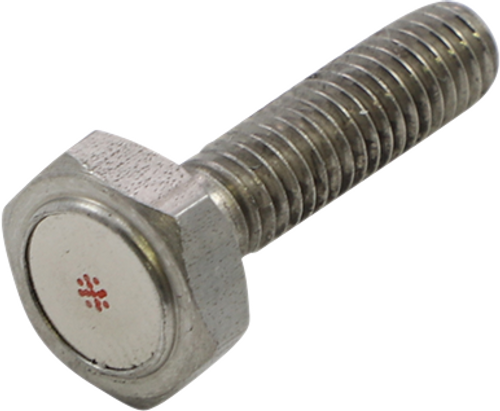 Speed Sensor Magnet Bolt 22100137