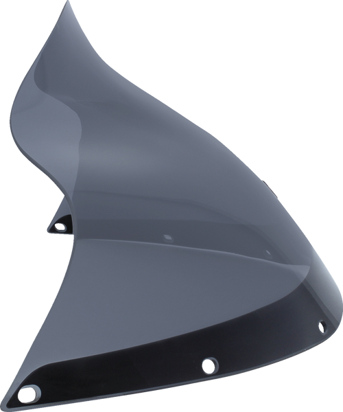 Flare™ Windshield 23100704