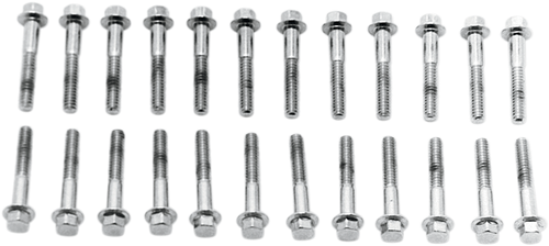 Valve Cover Screw Kit 24010470
