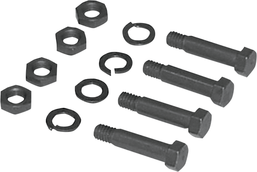 Footboard Hinge Bolt Kit 24010621