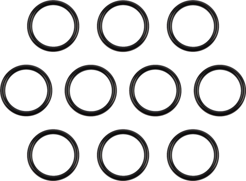 Throttle to Intake O-Ring DS174220