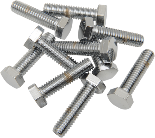 Replacement Hex-Head Bolts DS190615