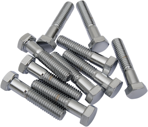 Replacement Hex-Head Bolts DS190624