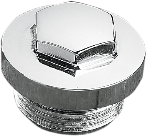 Filler/Clutch Plug DS193809