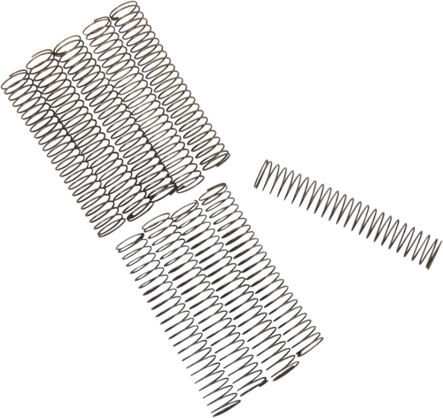 Oil Pump Relief Valve Springs DS194222 Oil Pump Relief Valve Springs DS194222