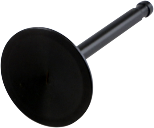 Nitrided Valve DS198962