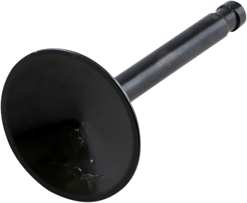 Nitrided Valve DS198971