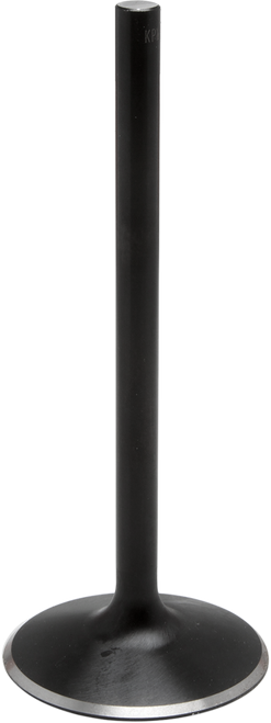 Nitrided Valve DS198974