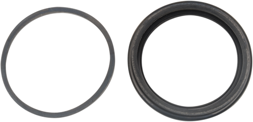 Caliper Rebuild Kit DS530479