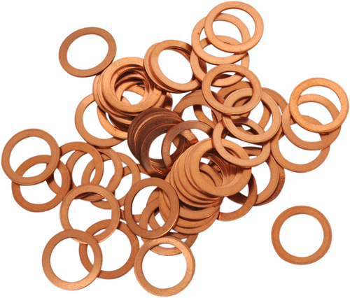 Drain Plug Washers 09200171