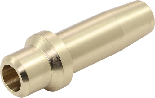 Valve Guide 09261670
