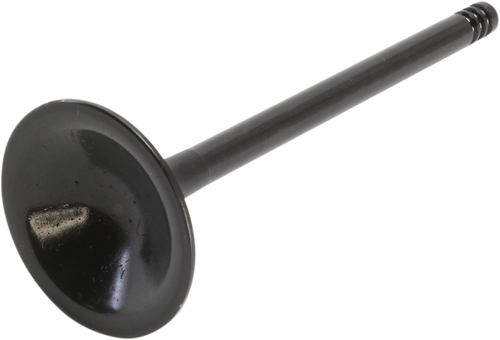 Nitrided Valve 09262868