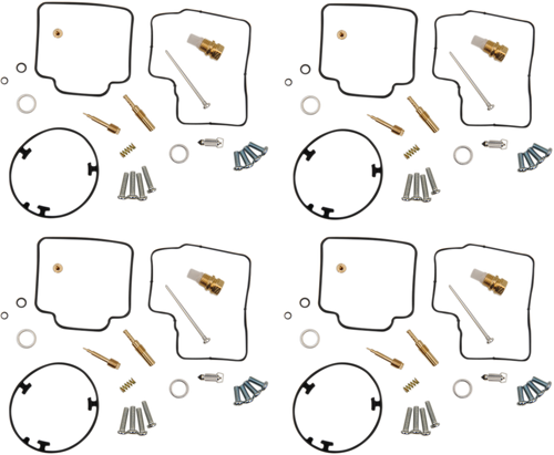 Carburetor Repair Kit 10031330