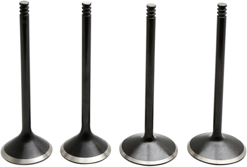 Engine Valve Kit 09263215