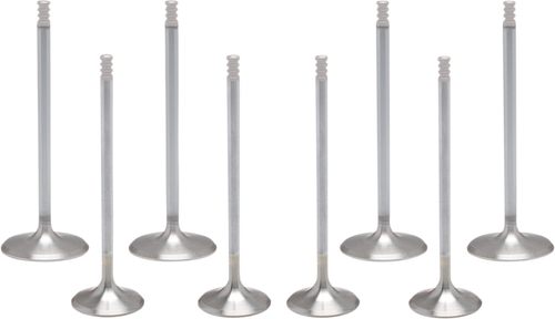 Engine Valve Kit 09263221