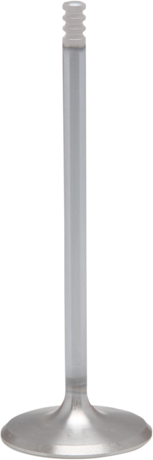 Engine Valve 09263305