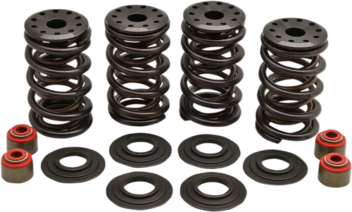 Valve Spring Kit 09260184