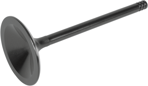 Nitrided Valve 09260194