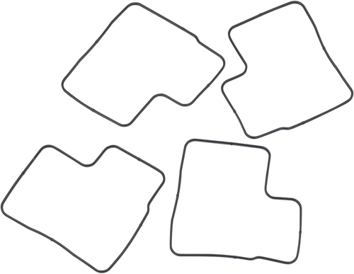 Float Bowl O-Ring Set 10030088