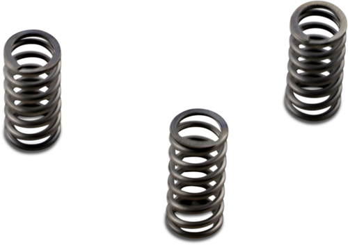 CSK Series Heavy Duty Clutch Spring Kit 11313293 CSK Series Heavy Duty Clutch Spring Kit 11313293