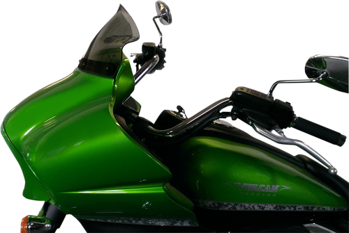 Flare™ Windshield 23120225