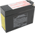 Factory-Activated AGM Maintenance-Free Battery 21130217