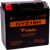 GYZ Factory-Activated AGM Maintenance-Free Battery 21130296