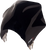 Raptor Windshield 23012600