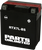AGM Maintenance-Free Battery RTX7LBS