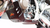 Xtrem Skid Plate 05062042
