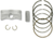 Piston Kit for 4-Stroke 09100605