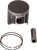 Piston Kit for 2 Stroke 09104046