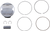 Piston Kit for 4 Stroke 09106157
