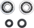 Crankshaft Bearing and Seal Kit 09240349