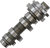 Camshaft Stage 1 09250131
