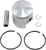 Piston Kit 09688