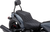 Detachable Mini Backrest 15010750