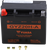 GYZ Factory-Activated AGM Maintenance-Free Battery 21130776
