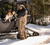 UTV 4S1 Track System 45101600