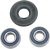 Wheel Bearing Kit A251119