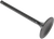 Black Diamond™ Engine Valve KW303003