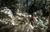 TIRE E50 140/80-18 70P 03170490