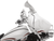 Flare™ Windshield 23100273