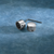 Chrome Handlebar Riser Bolt Caps DS222879